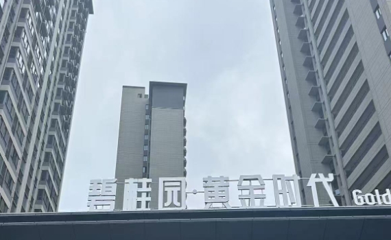 碧桂园黄金时代阳台连廊护栏百叶窗栅栏楼梯扶手案例